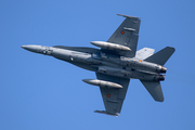 Spanish Air Force (Ejército del Aire) McDonnell Douglas EF-18A Hornet (C.15-41) at  Leeuwarden Air Base, Netherlands