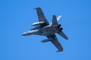 Spanish Air Force (Ejército del Aire) McDonnell Douglas EF-18A Hornet (C.15-41) at  Leeuwarden Air Base, Netherlands