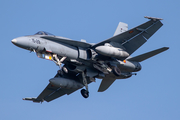 Spanish Air Force (Ejército del Aire) McDonnell Douglas EF-18A Hornet (C.15-41) at  Leeuwarden Air Base, Netherlands