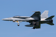 Spanish Air Force (Ejército del Aire) McDonnell Douglas EF-18A Hornet (C.15-41) at  Leeuwarden Air Base, Netherlands