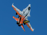 Spanish Air Force (Ejército del Aire) McDonnell Douglas EF-18A Hornet (C.15-41) at  Zaragoza, Spain