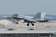 Spanish Air Force (Ejército del Aire) McDonnell Douglas EF-18A Hornet (C.15-41) at  Zaragoza, Spain