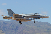 Spanish Air Force (Ejército del Aire) McDonnell Douglas EF-18A Hornet (C.15-55) at  Gran Canaria, Spain