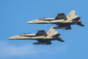 Spanish Air Force (Ejército del Aire) McDonnell Douglas EF-18A Hornet (C.15-55) at  Gran Canaria, Spain