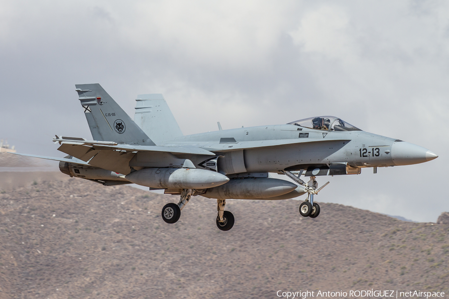 Spanish Air Force (Ejército del Aire) McDonnell Douglas EF-18A Hornet (C.15-55) | Photo 446728