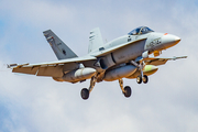 Spanish Air Force (Ejército del Aire) McDonnell Douglas EF-18M Hornet (C.15-56) at  Gran Canaria, Spain