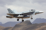Spanish Air Force (Ejército del Aire) McDonnell Douglas EF-18M Hornet (C.15-56) at  Gran Canaria, Spain