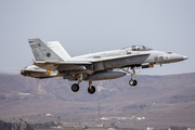 Spanish Air Force (Ejército del Aire) McDonnell Douglas EF-18M Hornet (C.15-57) at  Gran Canaria, Spain