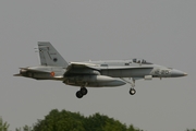 Spanish Air Force (Ejército del Aire) McDonnell Douglas EF-18M Hornet (C.15-62) at  Florennes AFB, Belgium