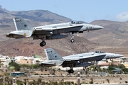 Spanish Air Force (Ejército del Aire) McDonnell Douglas EF-18A Hornet (C.15-62) at  Gran Canaria, Spain