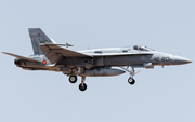 Spanish Air Force (Ejército del Aire) McDonnell Douglas EF-18M Hornet (C.15-62) at  Gran Canaria, Spain