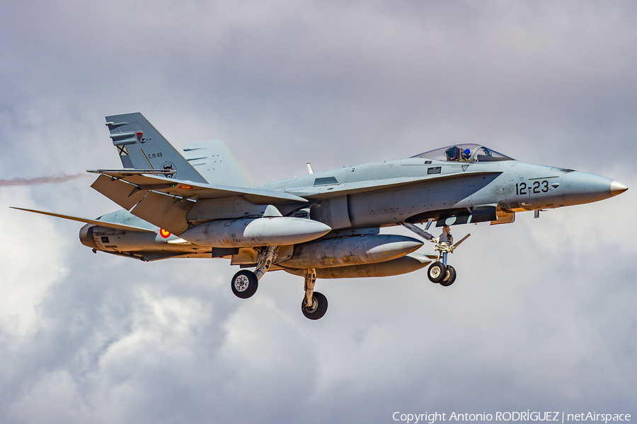 Spanish Air Force (Ejército del Aire) McDonnell Douglas EF-18A Hornet (C.15-65) | Photo 446723