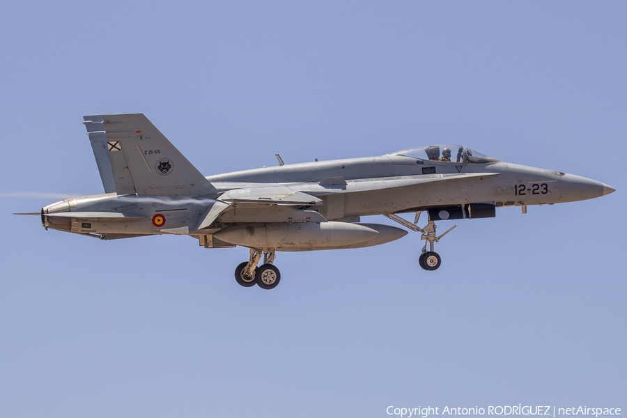 Spanish Air Force (Ejército del Aire) McDonnell Douglas EF-18A Hornet (C.15-65) | Photo 570674