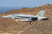 Spanish Air Force (Ejército del Aire) McDonnell Douglas EF-18A Hornet (C.15-65) at  Gran Canaria, Spain