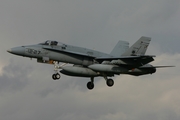 Spanish Air Force (Ejército del Aire) McDonnell Douglas EF-18M Hornet (C.15-69) at  Florennes AFB, Belgium