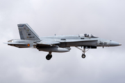 Spanish Air Force (Ejército del Aire) McDonnell Douglas EF-18A Hornet (C.15-73) at  Gran Canaria, Spain