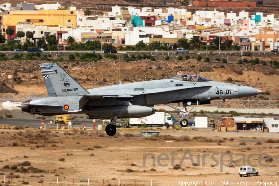 Spanish Air Force (Ejército del Aire) McDonnell Douglas EF-18A Hornet (C.15-73) | Photo 476773