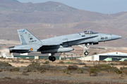 Spanish Air Force (Ejército del Aire) McDonnell Douglas EF-18A Hornet (C.15-73) at  Gran Canaria, Spain