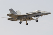 Spanish Air Force (Ejército del Aire) McDonnell Douglas EF-18A Hornet (C.15-73) at  Gran Canaria, Spain