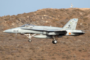 Spanish Air Force (Ejército del Aire) McDonnell Douglas EF-18A Hornet (C.15-73) at  Gran Canaria, Spain