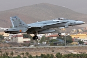 Spanish Air Force (Ejército del Aire) McDonnell Douglas EF-18A Hornet (C.15-73) at  Gran Canaria, Spain