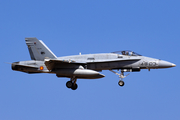 Spanish Air Force (Ejército del Aire) McDonnell Douglas F/A-18A+ Hornet (C.15-75) at  Gran Canaria, Spain