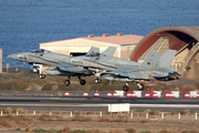 Spanish Air Force (Ejército del Aire) McDonnell Douglas F/A-18A+ Hornet (C.15-75) at  Gran Canaria, Spain