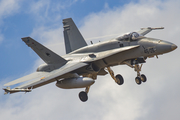 Spanish Air Force (Ejército del Aire) McDonnell Douglas F/A-18A+ Hornet (C.15-77) at  Gran Canaria, Spain