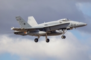 Spanish Air Force (Ejército del Aire) McDonnell Douglas F/A-18A+ Hornet (C.15-77) at  Gran Canaria, Spain