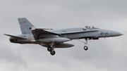 Spanish Air Force (Ejército del Aire) McDonnell Douglas F/A-18A+ Hornet (C.15-77) at  Gran Canaria, Spain