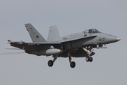 Spanish Air Force (Ejército del Aire) McDonnell Douglas EF-18A Hornet (C.15-79) at  Gran Canaria, Spain