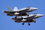 Spanish Air Force (Ejército del Aire) McDonnell Douglas EF-18A Hornet (C.15-79) at  Gran Canaria, Spain