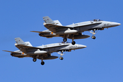 Spanish Air Force (Ejército del Aire) McDonnell Douglas EF-18A Hornet (C.15-79) at  Gran Canaria, Spain