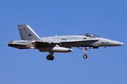 Spanish Air Force (Ejército del Aire) McDonnell Douglas EF-18A Hornet (C.15-79) at  Gran Canaria, Spain