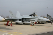 Spanish Air Force (Ejército del Aire) McDonnell Douglas F/A-18A+ Hornet (C.15-79) at  Florennes AFB, Belgium