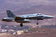 Spanish Air Force (Ejército del Aire) McDonnell Douglas F/A-18A+ Hornet (C.15-79) at  Gran Canaria, Spain