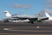 Spanish Air Force (Ejército del Aire) McDonnell Douglas F/A-18A+ Hornet (C.15-79) at  Tenerife Norte - Los Rodeos, Spain