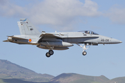 Spanish Air Force (Ejército del Aire) McDonnell Douglas EF-18A Hornet (C.15-80) at  Gran Canaria, Spain