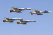 Spanish Air Force (Ejército del Aire) McDonnell Douglas EF-18A Hornet (C.15-80) at  Gran Canaria, Spain
