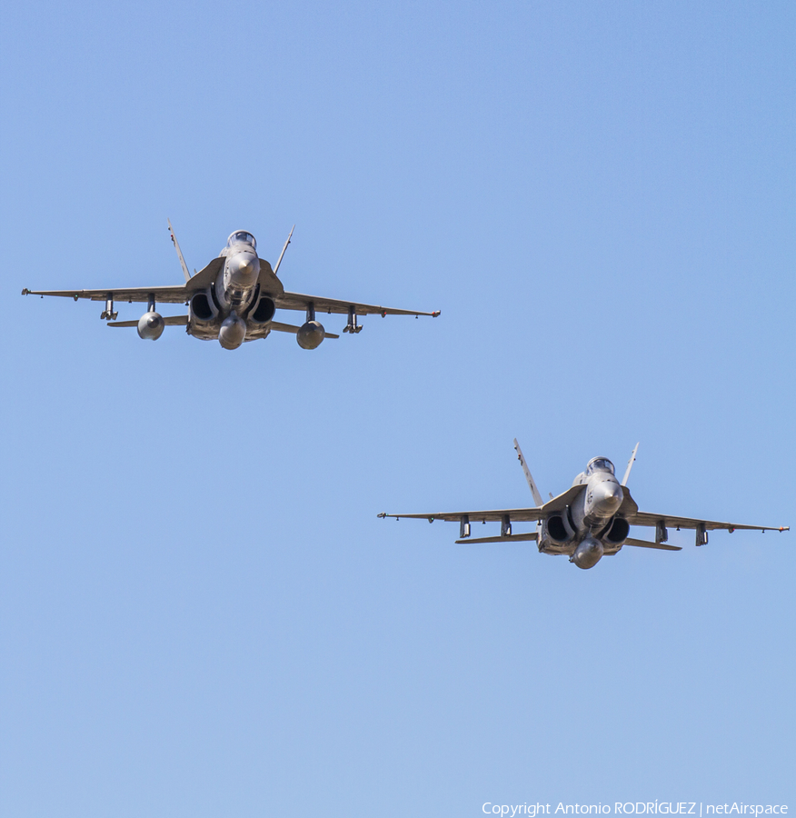 Spanish Air Force (Ejército del Aire) McDonnell Douglas EF-18A Hornet (C.15-80) | Photo 223638