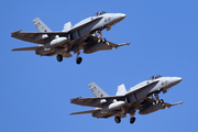 Spanish Air Force (Ejército del Aire) McDonnell Douglas EF-18A Hornet (C.15-80) at  Gran Canaria, Spain