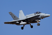 Spanish Air Force (Ejército del Aire) McDonnell Douglas EF-18A Hornet (C.15-80) at  Gran Canaria, Spain