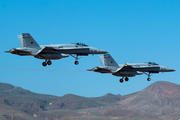 Spanish Air Force (Ejército del Aire) McDonnell Douglas EF-18A Hornet (C.15-80) at  Gran Canaria, Spain