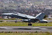 Spanish Air Force (Ejército del Aire) McDonnell Douglas EF-18A Hornet (C.15-80) at  Tenerife Norte - Los Rodeos, Spain