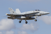 Spanish Air Force (Ejército del Aire) McDonnell Douglas F/A-18A+ Hornet (C.15-81) at  Gran Canaria, Spain