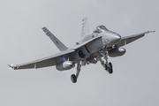 Spanish Air Force (Ejército del Aire) McDonnell Douglas F/A-18A+ Hornet (C.15-81) at  Gran Canaria, Spain