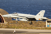 Spanish Air Force (Ejército del Aire) McDonnell Douglas F/A-18A+ Hornet (C.15-81) at  Gran Canaria, Spain