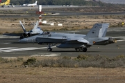 Spanish Air Force (Ejército del Aire) McDonnell Douglas F/A-18A+ Hornet (C.15-81) at  Gran Canaria, Spain