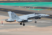 Spanish Air Force (Ejército del Aire) McDonnell Douglas F/A-18A+ Hornet (C.15-81) at  Gran Canaria, Spain