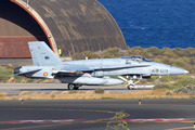 Spanish Air Force (Ejército del Aire) McDonnell Douglas F/A-18A+ Hornet (C.15-81) at  Gran Canaria, Spain